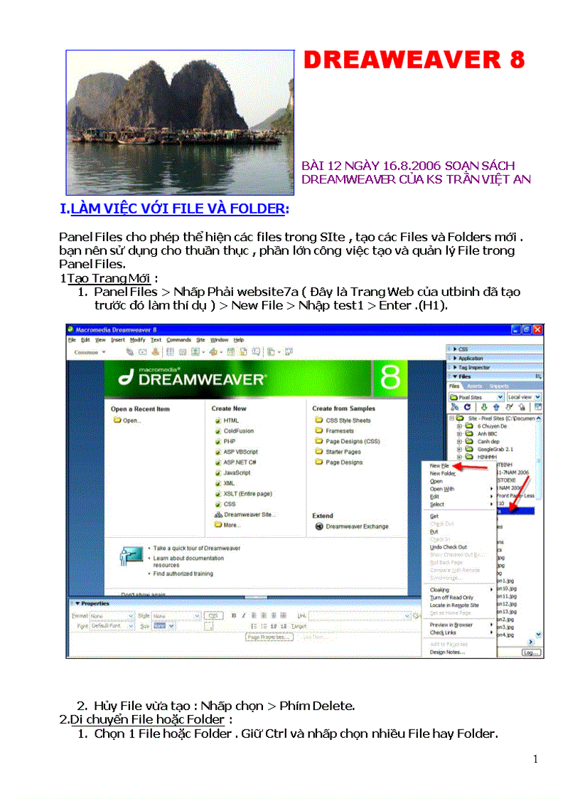 Giáo trình DREAMWEAVER8 Bài 12 PanelFiles2