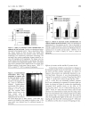 Báo cáo y học Upregulation of Bax and Bcl 2 following prenatal cocaine exposure induces apoptosis in fetal rat brain