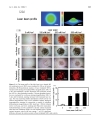 Báo cáo y học Controlling Osteogenesis and Adipogenesis of Mesenchymal Stromal Cells by Regulating A Circadian Clock Protein with Laser Irradiation