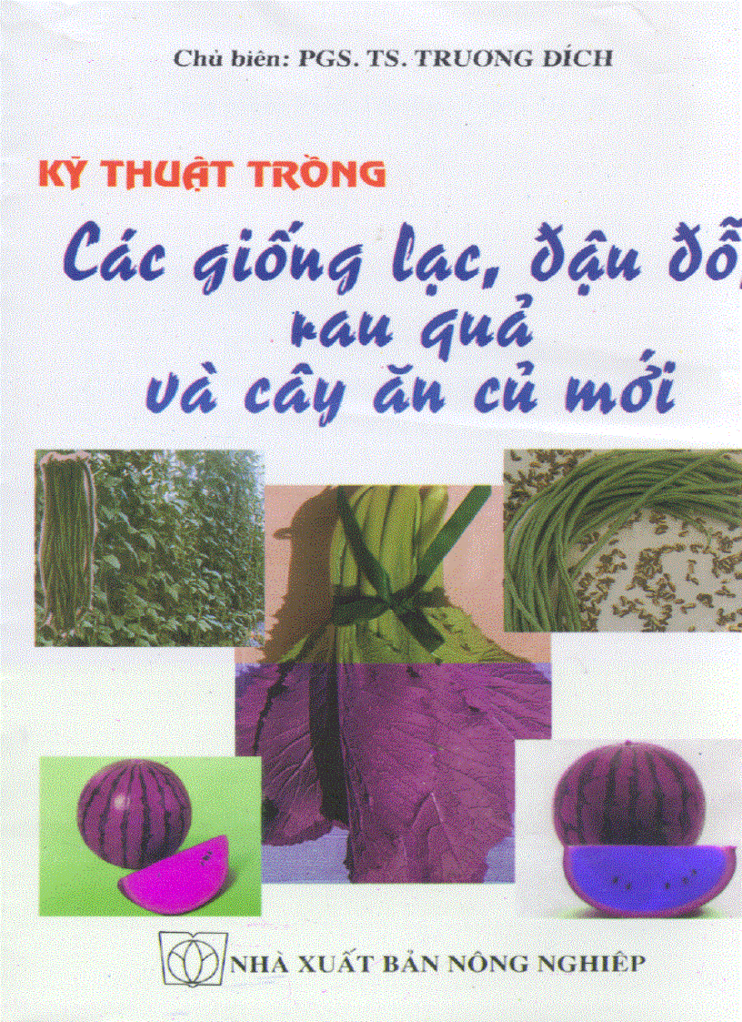 Ky Thuat Trong Cac Giong Lac Dau Do Rau Qua Va Cay An Củ Mới