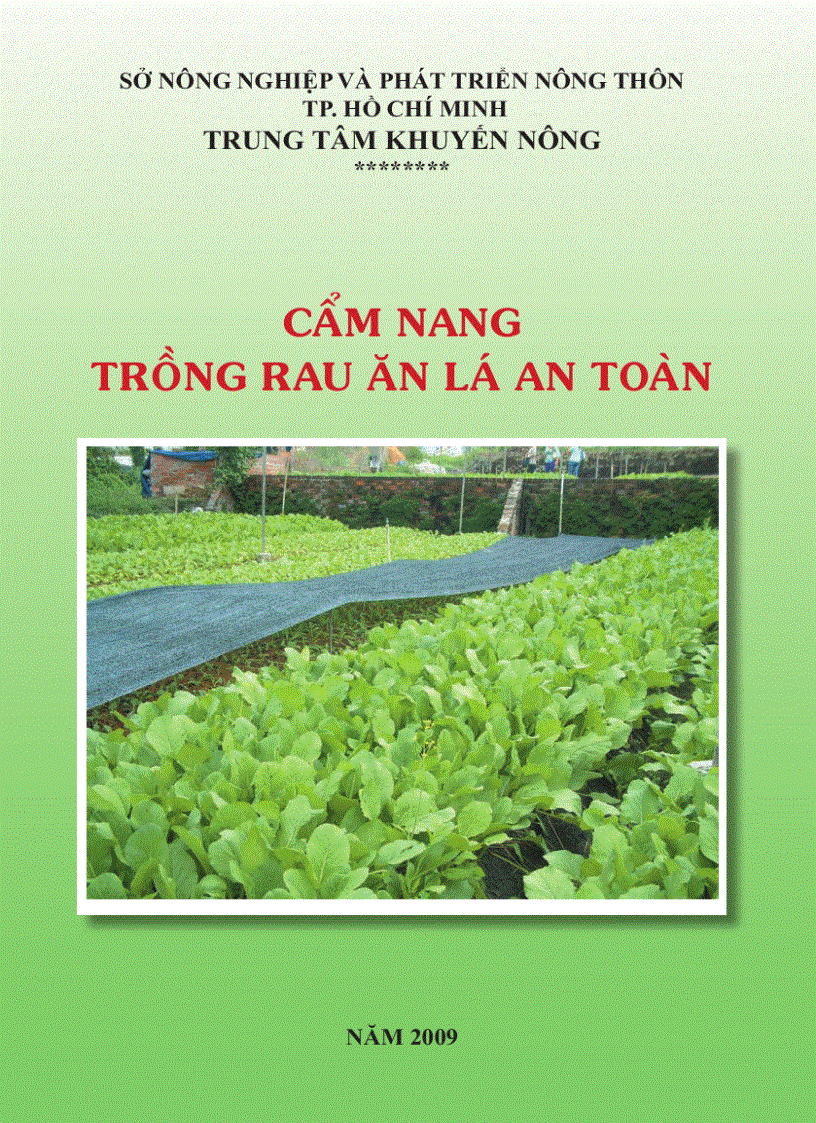 Cẩm nang trồng rau an lá an toàn