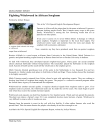 DEVELOPMENT REPORT Fighting Witchweed in African Sorghum