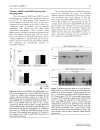 Báo cáo y học Matrix Metalloproteinase Activity in Pediatric Acute Lung Injur