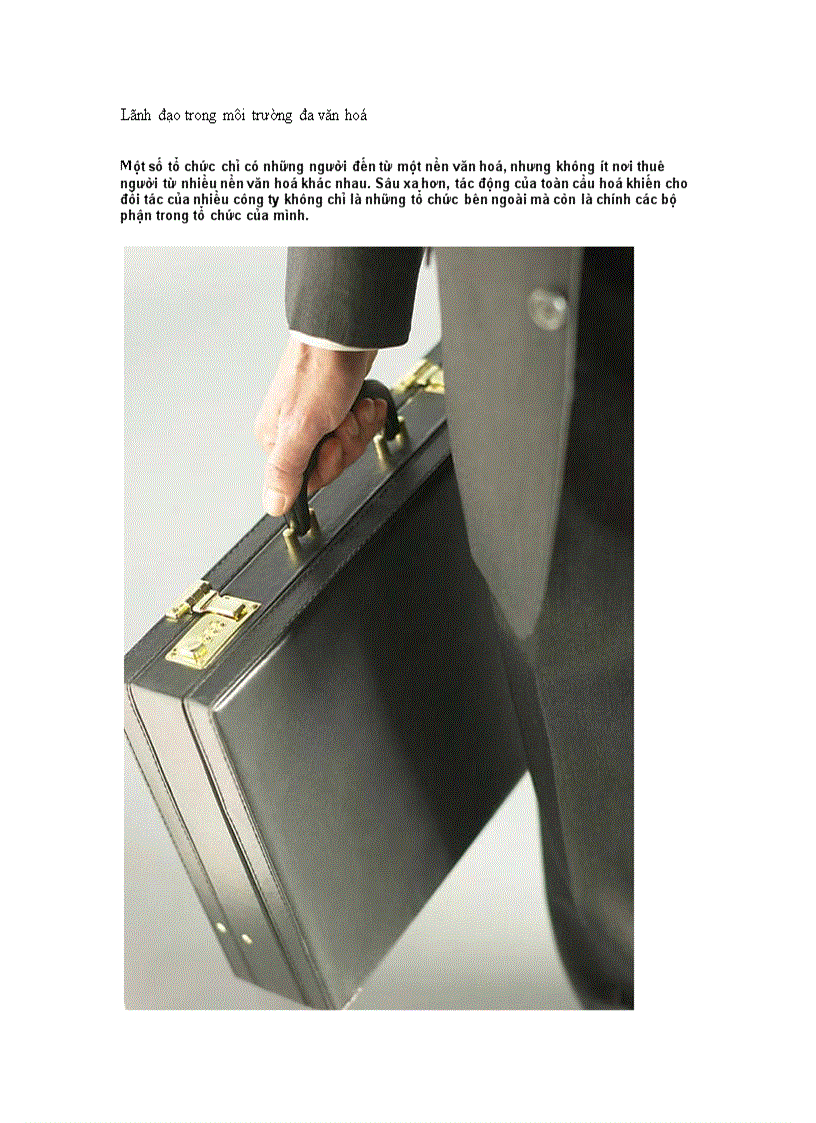 Lãnh đạo trong môi trường đa văn hoá
