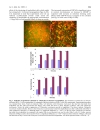 Báo cáo y học Chlamydia trachomatis Infection of Human Trophoblast Alters Estrogen and Progesterone Biosynthesis an insight into role of infection in pregnancy sequelae