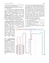 Báo cáo y học BioShuttle mediated Plasmid Transfer