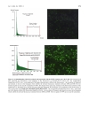 Báo cáo y học BioShuttle mediated Plasmid Transfer