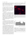 Báo cáo y học Allele dependent silencing of COL1A2 using small interfering RNAs