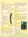 Technical Guide on Post harvest of Banana