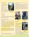 Technical Guide on Post harvest of Banana