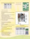 Technical Guide on Post harvest of Banana