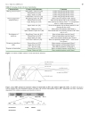 Báo cáo y học Advances in Molecular Diagnosis of HBV Infection and Drug Resistance