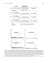 Báo cáo y học HIV 1 Capsid Assembly Inhibitor CAI Peptide Structural Preferences and Delivery into Human Embryonic Lung Cells and Lymphocyte