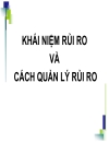 Nguyên lý và thực hành bảo hiểm Rủi ro