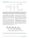 Báo cáo y học Enhancement of the Click Chemistry for the Inverse Diels Alder Technology by Functionalization of Amide Based Monomers