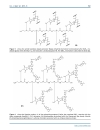 Báo cáo y học Enhancement of the Click Chemistry for the Inverse Diels Alder Technology by Functionalization of Amide Based Monomers