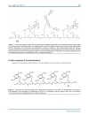 Báo cáo y học Enhancement of the Click Chemistry for the Inverse Diels Alder Technology by Functionalization of Amide Based Monomers