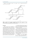 Báo cáo y học Enhancement of the Click Chemistry for the Inverse Diels Alder Technology by Functionalization of Amide Based Monomers