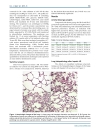 Báo cáo y học Emulsified Isoflurane Preconditioning Reduces Lung Injury Induced By Hepatic Ischemia Reperfusion in Rats