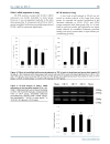 Báo cáo y học Emulsified Isoflurane Preconditioning Reduces Lung Injury Induced By Hepatic Ischemia Reperfusion in Rats