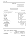 Báo cáo y học Evaluation of Lumbar Facet Joint Nerve Blocks in Managing Chronic Low Back Pain A Randomized Double Blind Controlled Trial with a 2 Year Follow U