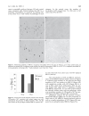 Báo cáo y học BRCA1 May Modulate Neuronal Cell Cycle Re Entry in Alzheimer Disease