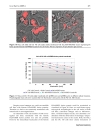 Báo cáo y học Autofluorescent Proteins as Photosensitizer in Eukaryonte