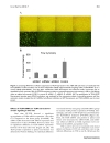 Báo cáo y học Intrathecal siRNA against Toll like receptor 4 reduces nociception in a rat model of neuropathic pain