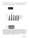 Báo cáo y học Intrathecal siRNA against Toll like receptor 4 reduces nociception in a rat model of neuropathic pain