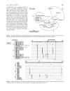 Báo cáo y học Characterization of erythrovirus B19 genomes isolated in liver tissues from patients with fulminant hepatitis and biliary atresia who underwent liver transplantation