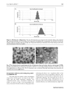 Báo cáo y học Preparation of RGD modified Long Circulating Liposome Loading Matrine and its in vitro Anti cancer Effects