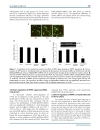 Báo cáo y học Knockdown of NPM1 by RNA Interference Inhibits Cells Proliferation and Induces Apoptosis in Leukemic Cell Line