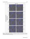 Báo cáo y học A cyclic RGD BioShuttle functionalized with TMZ by DARinv Click Chemistry targeted to αvβ3 integrin for therapy