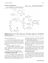 Báo cáo y học A cyclic RGD BioShuttle functionalized with TMZ by DARinv Click Chemistry targeted to αvβ3 integrin for therapy