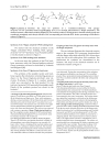 Báo cáo y học Extension of the PNA world by functionalized PNA monomers eligible candidates for inverse Diels Alder Click Chemistyr