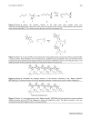 Báo cáo y học Extension of the PNA world by functionalized PNA monomers eligible candidates for inverse Diels Alder Click Chemistyr