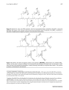 Báo cáo y học Extension of the PNA world by functionalized PNA monomers eligible candidates for inverse Diels Alder Click Chemistyr