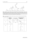 Báo cáo y học Extension of the PNA world by functionalized PNA monomers eligible candidates for inverse Diels Alder Click Chemistyr