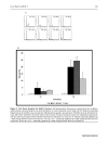 Báo cáo y học Parvovirus B19 Genotype Specific Amino Acid Substitution in NS1 Reduces the Protein s Cytotoxicity in Culture