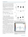 Báo cáo y học Segment orientated analysis of two dimensional strain and strain rate as assessed by velocity vector imaging in patients with acute myocardial infarction