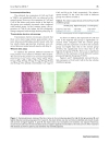 Báo cáo y học Effects of Losartan on expression of connexins at the early stage of atherosclerosis in rabbits