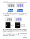 Báo cáo y học Effects of Losartan on expression of connexins at the early stage of atherosclerosis in rabbits