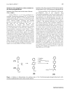 Báo cáo y học Gain of a 500 fold sensitivity on an intravital MR Contrast Agent based on an endohedral Gadolinium Cluster Fullerene Conjugate A new chance in cancer diagnostics