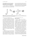 Báo cáo y học Gain of a 500 fold sensitivity on an intravital MR Contrast Agent based on an endohedral Gadolinium Cluster Fullerene Conjugate A new chance in cancer diagnostics