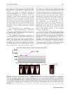 Báo cáo y học Gain of a 500 fold sensitivity on an intravital MR Contrast Agent based on an endohedral Gadolinium Cluster Fullerene Conjugate A new chance in cancer diagnostics