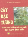 Cây đậu tương Thâm canh tăng năng suất và đẩy mạnh phát triển