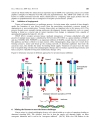 Báo cáo y học yrosine kinase Role and significance in Cancer