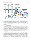 Báo cáo y học yrosine kinase Role and significance in Cancer