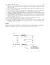 Báo cáo y học Study of the early steps of the Hepatitis B Virus life cycle