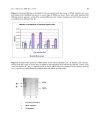 Báo cáo y học Study of the early steps of the Hepatitis B Virus life cycle